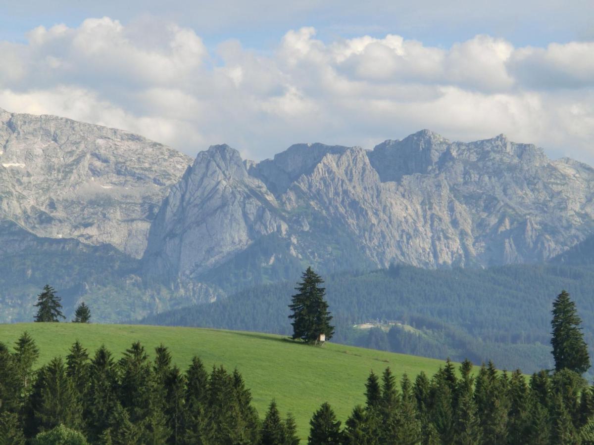 Log Cabin In Bavaria With Covered Terrace Villa Щайнгаден Екстериор снимка